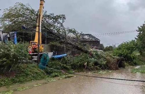 江蘇鹽城一鄉(xiāng)鎮(zhèn)遭遇雷暴大風天氣 致5人輕傷