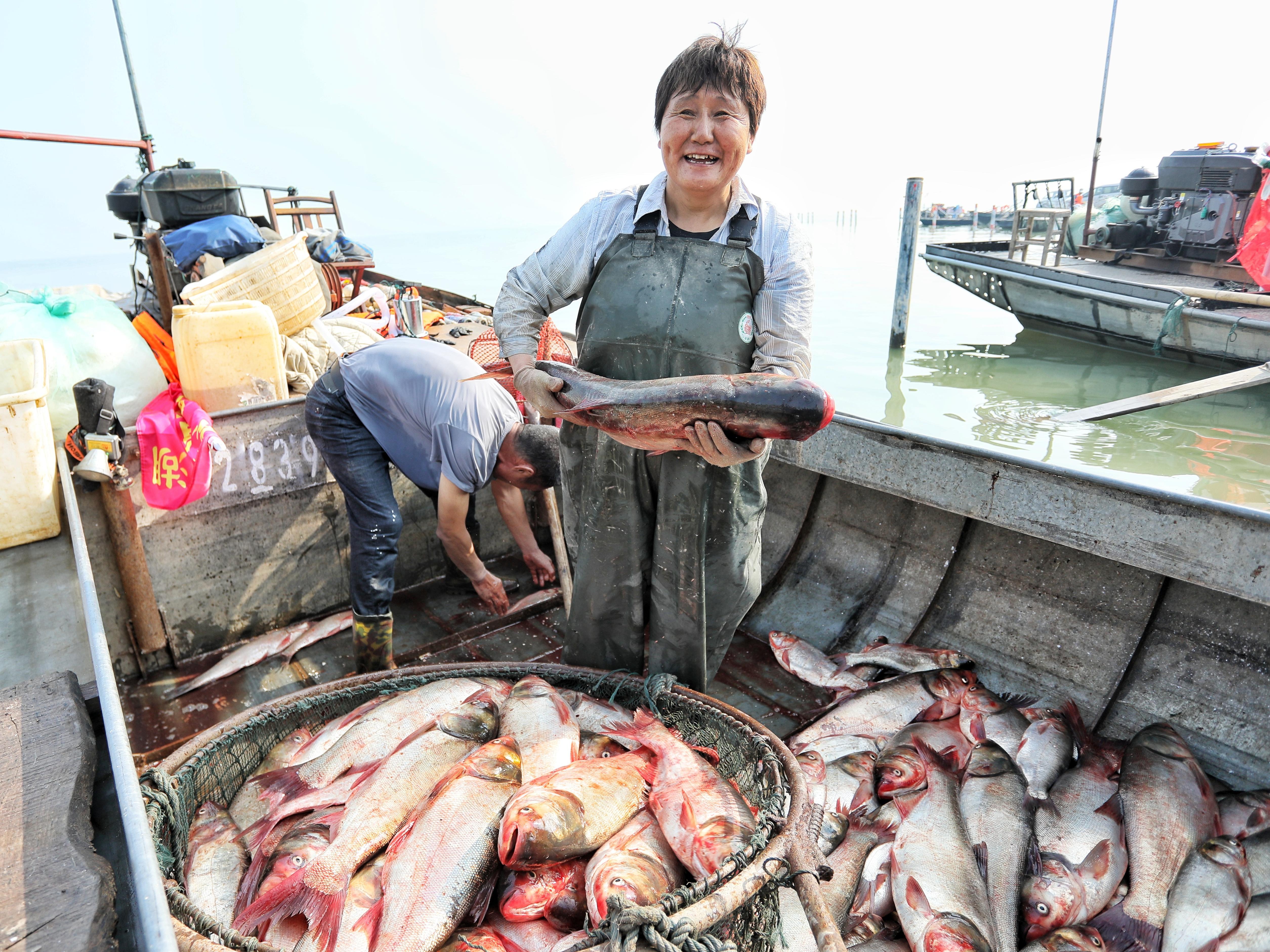 東平湖開漁迎豐收