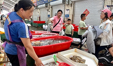 記者探訪丨開海嘗鮮！現捕梭子蟹、鮮蝦銷售火爆 價格較往年變化不大