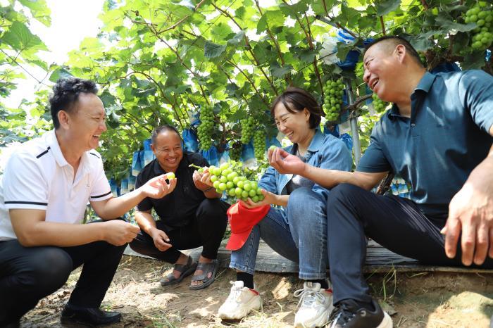 山東蓄積“人才活水” “新農人”成鄉村“興農人”