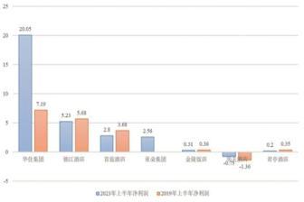 酒店業上市公司大賺了嗎？半年報這樣劇透