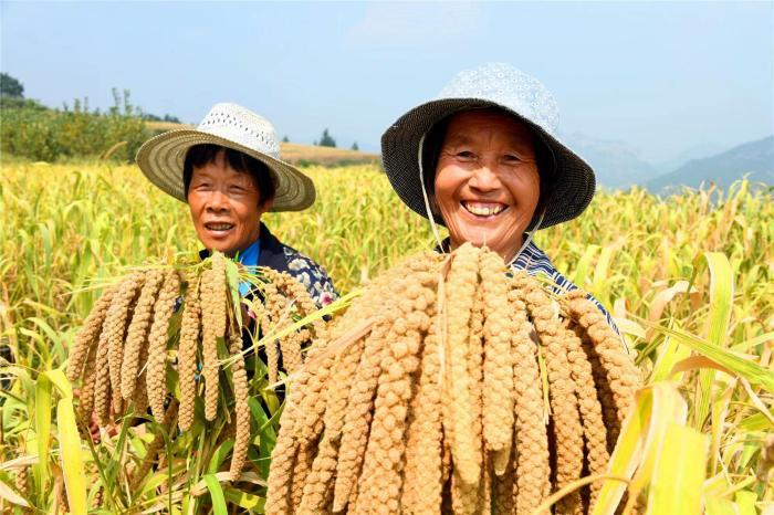 齊魯大地豐收畫卷徐徐展開：瓜果飄香，顆粒歸倉