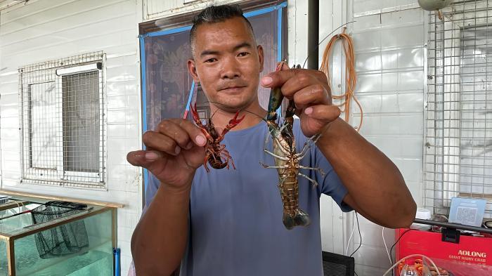 新疆喀什：戈壁灘上養出澳洲淡水龍蝦