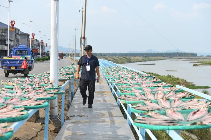 湖南岳阳洞庭渔民上岸   晒风干鱼年产值超2亿元
