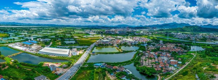 广东出台新政提升绿色通道品质 打造绿美生态网络