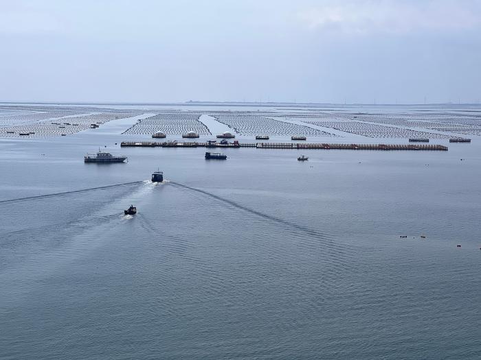 中国加强陆海统筹与协同共治海洋生态环境