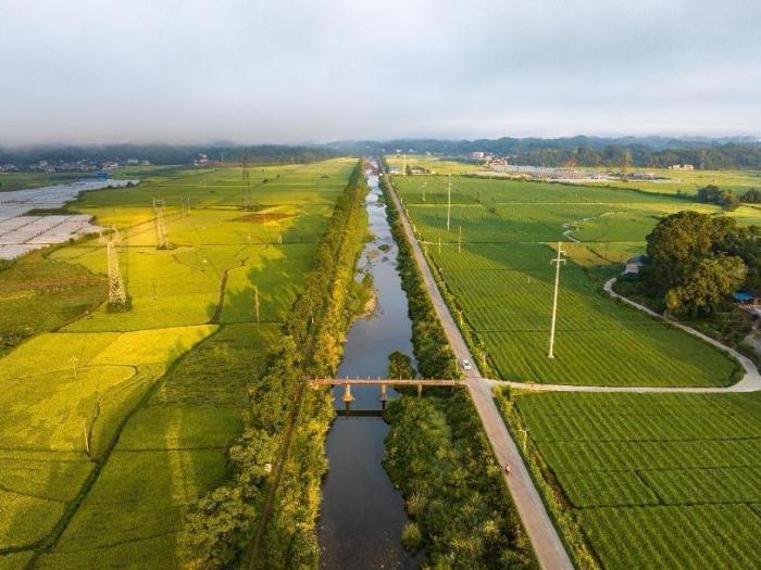 水清岸綠景美還抗旱 湖南洪江市探索小型水庫“物業化”管理