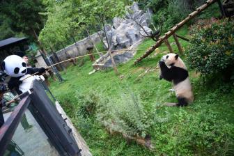 云南擬將72種植物、26種野生動物納入重點保護名錄