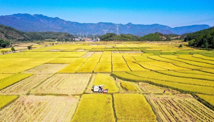 把東北大糧倉打造成“大廚房”