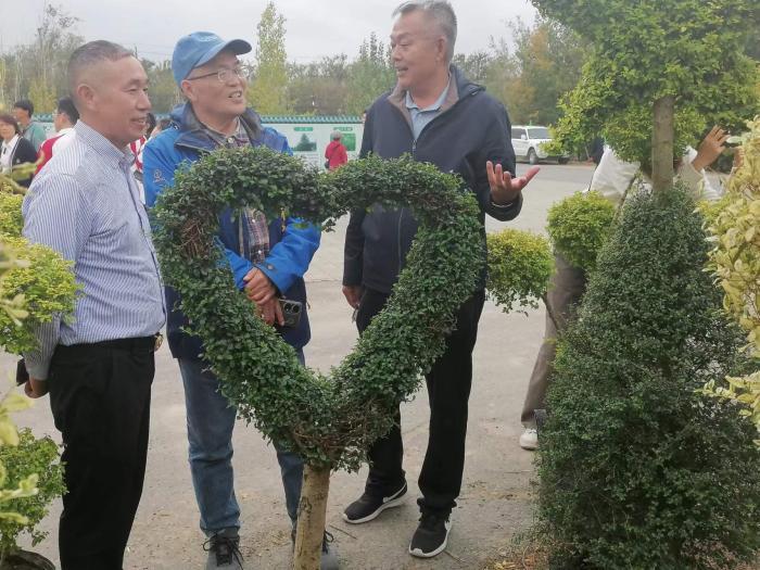 第十一届新疆苗木花卉博览会在呼图壁县开幕 探讨供给侧改革扩大市场需求
