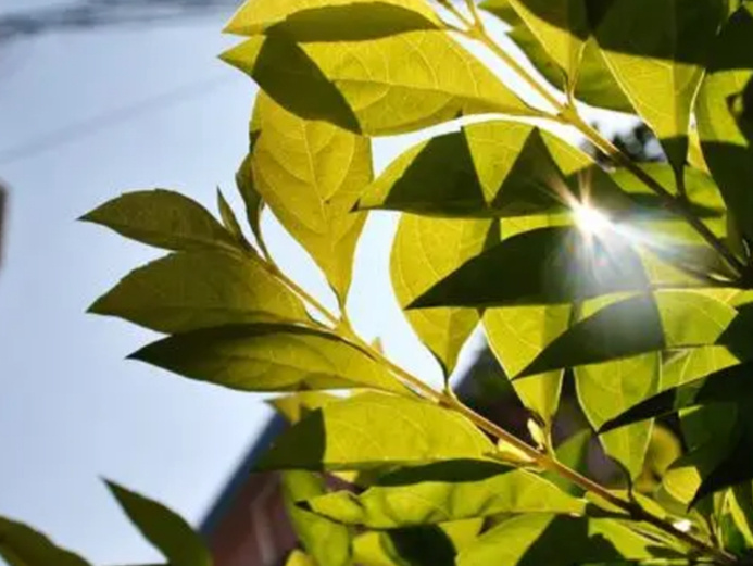 超10℃！這次是升溫，多地氣溫要倒退回9月