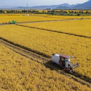 四部门出台行动方案提升产粮大县公共服务能力