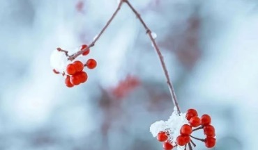 山東解除寒潮預警 未來三天這些地方有小雪、小雨