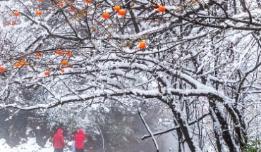 山東局地有暴雪！降雪主要出現在這些時段