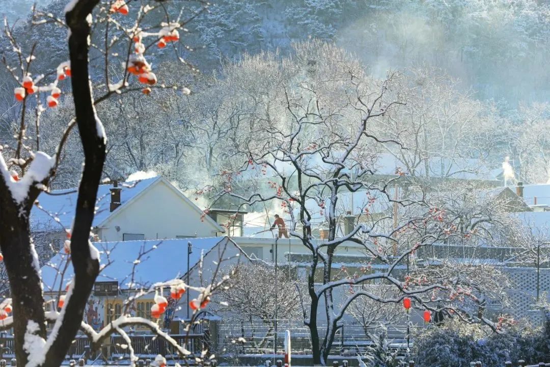 一場大雪后，在威海里口山體驗“烏托邦式”的民宿