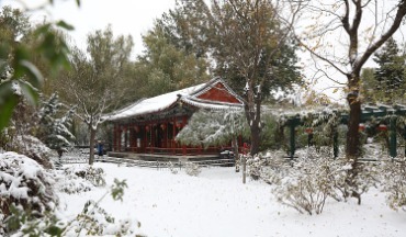 局部低于-20℃！山東將出現寒潮雨雪和持續低溫天氣