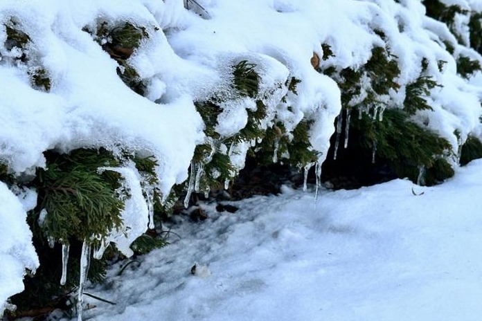 較歷史同期偏低5℃以上，山東這里仍有大到暴雪局部大暴雪