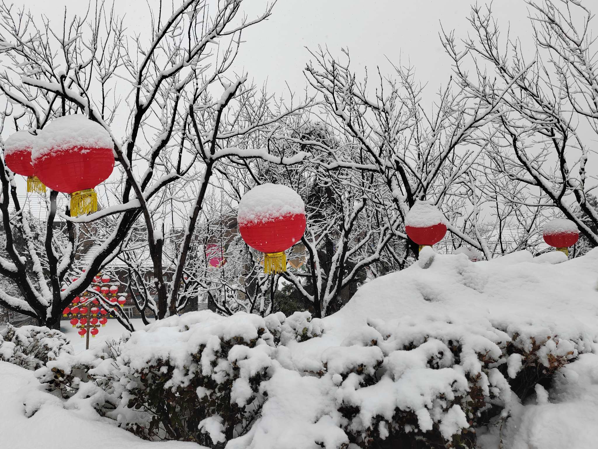 “雪窩子”發(fā)威！山東半島地區(qū)出現(xiàn)強(qiáng)降雪，專家：后天回溫