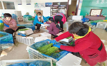 济南开启“速冻模式” 低温天气对市民“菜篮子”有何影响？