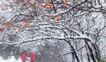 2024年首場大范圍降雪來臨，山東這些地區(qū)降雪繼續(xù)