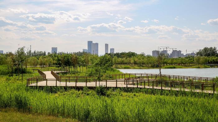 天下长河一万亩 2a07dc98-6d6f-422a-a09f-aac5bf9ab76a.jpg