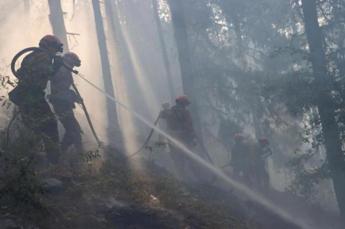 广西森林火灾总体形势可控 未出现人员伤亡