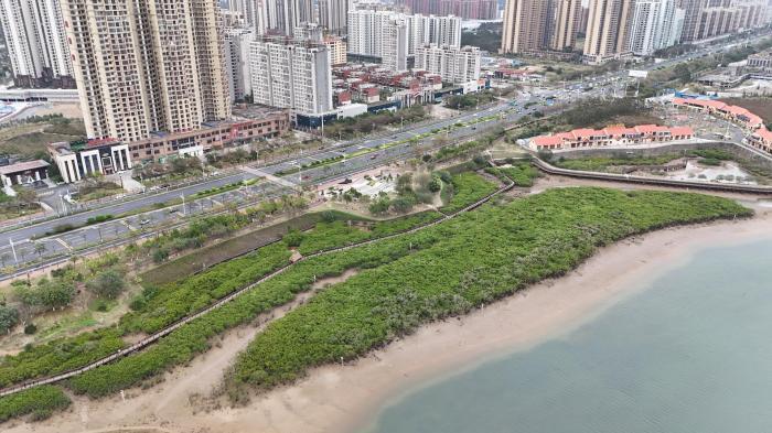 广西防城港建设生态海堤 保护北部湾海域生物多样性