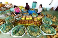 柬埔寨农产品在中国市场拥有广阔发展空间