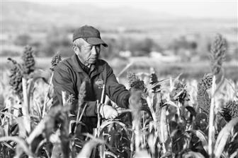 内蒙古和林格尔：节本增收靠农技