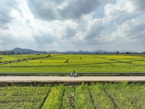 天津下达17.8亿元服务春耕春播 对种粮农民给予每亩95元补贴