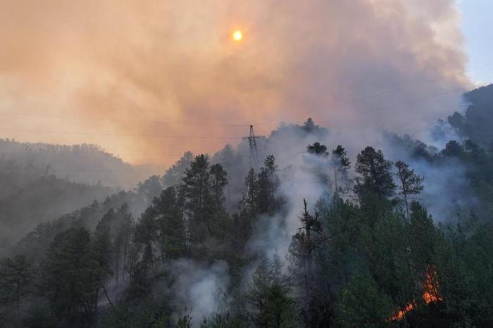 官方：开展2024年森林草原火灾重大隐患动态清零和查处违规用火行为专项行动