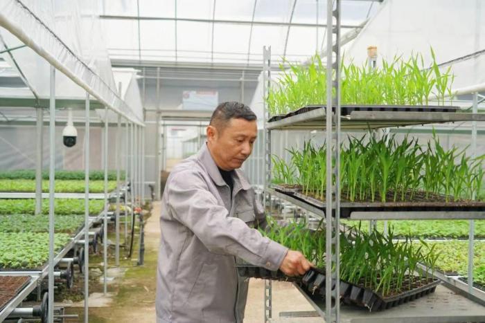 （乡村行·看振兴）浙江温州科技助农添春光：“春耕忙一些，农民才充实”