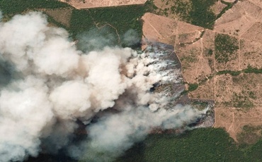 济南高效应对处置森林火灾：12颗卫星、1000余路高点视频全天候监测全市林区