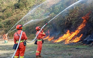 济南市森林消防队伍处置杂草、林木类火灾1274起，同比增幅81.22%