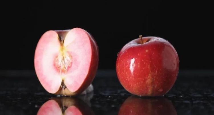 4个红肉苹果卖了1600万，为什么这么贵？
