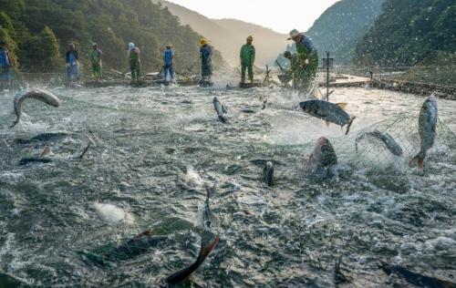 4月1日起，北京41处水库湖泊将进入为期近半年的禁渔期
