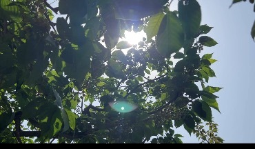 一頭扎進夏天？別急！冷空氣來降降溫局地降幅可達10℃ 南方要迎來降雨間歇期