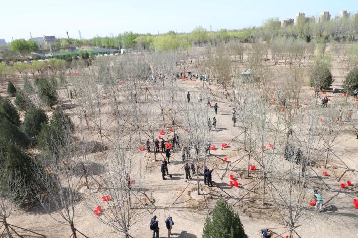2024年共和国部长义务植树活动在京举行 137人参与植树