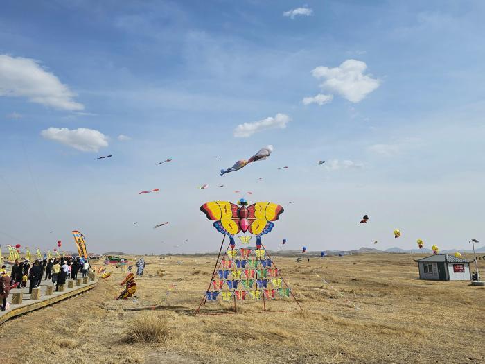 近3000只风筝在辽上京国家考古遗址公园“争奇斗艳”