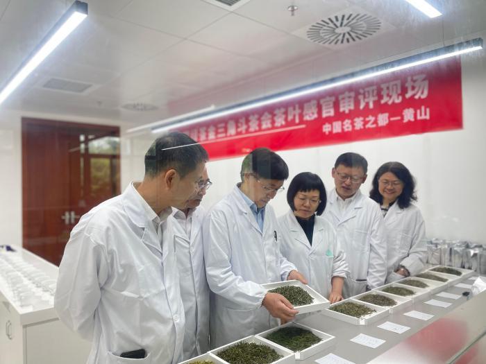 皖浙赣绿茶金三角斗茶会：共促区域茶产业协同发展