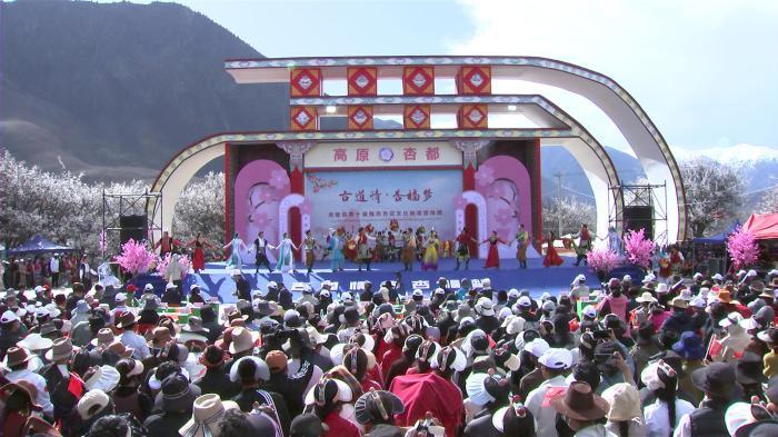 西藏洛隆县举办第十届杏花文化旅游活动 加强打造国道349精品旅游线路