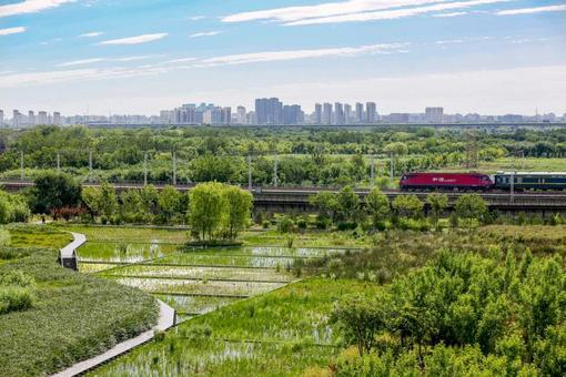 今年北京将增50处口袋公园或小微绿地 优化绿道慢行系统