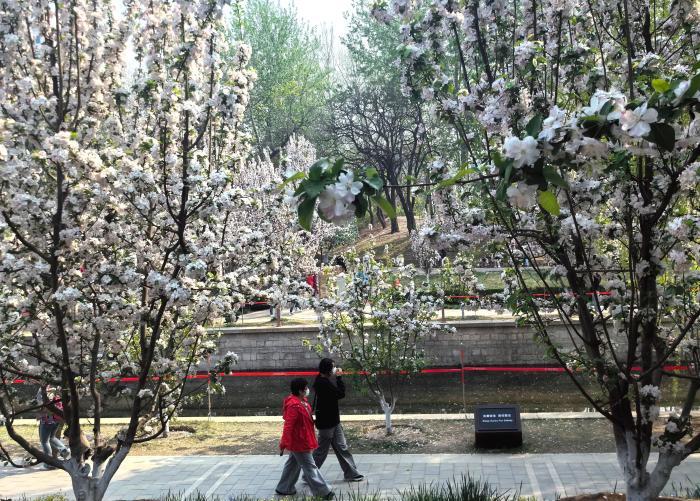 春水满京城 北京推进河湖空间展示城市独特魅力