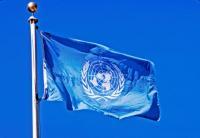 联合国公布对近东救济工程处调查情况