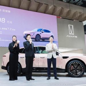 中国首批交付十周年：Model 3高性能版亮相