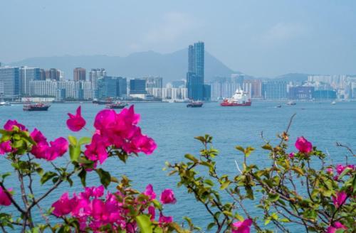 《香港会奖全攻略》发布 推广香港会奖旅游资源