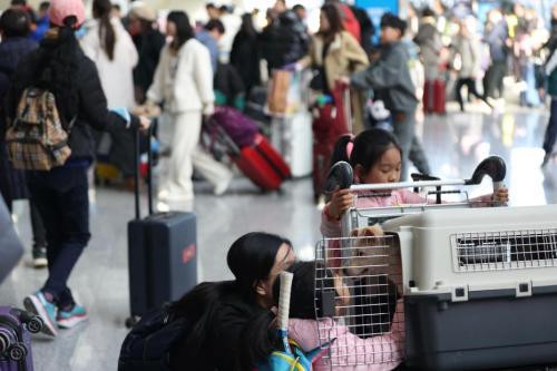 “五一”假期中国日均跨区域人流量预计超2.7亿人次