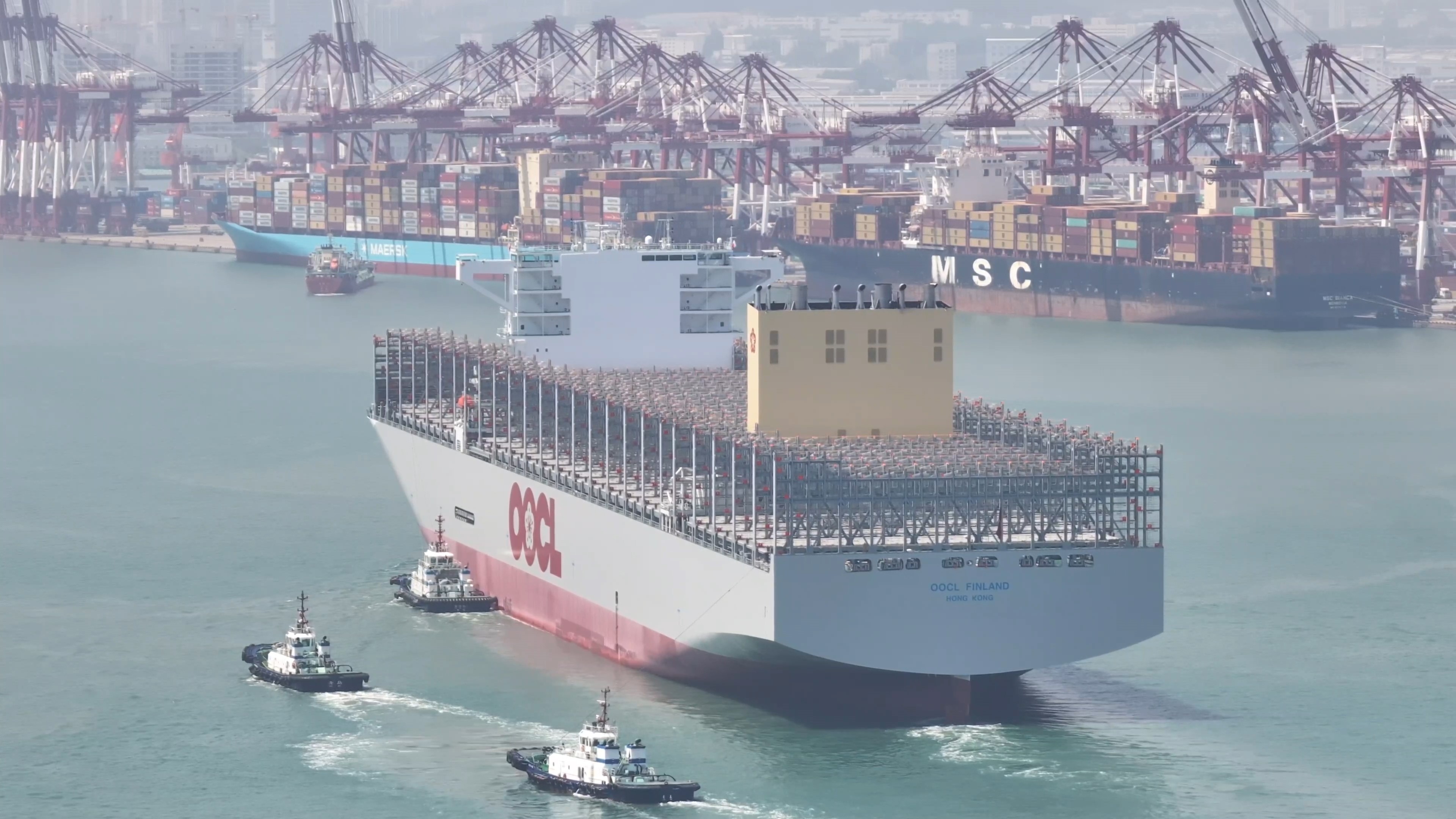 山东港口青岛港366米以上大型集装箱船作业艘次同比提升21.20%