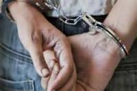 男子惡意撥打110達377次被天津警方刑拘