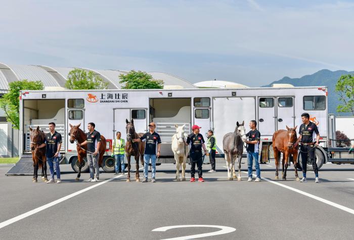 74匹阿根廷馬抵達浙江桐廬 馬術(shù)中心探索進境馬匹交易